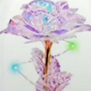 Meet your Posher, Sarah-rose